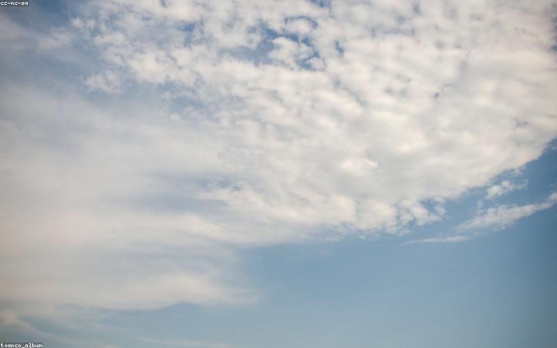 طائرة في مطار تيفات